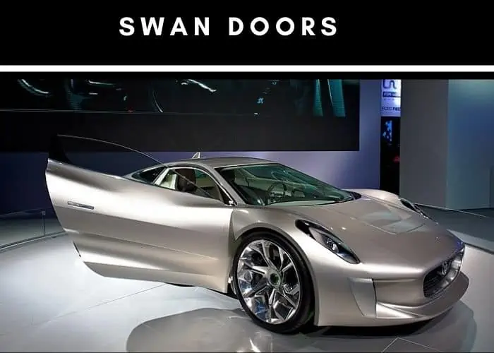 13. Swan doors