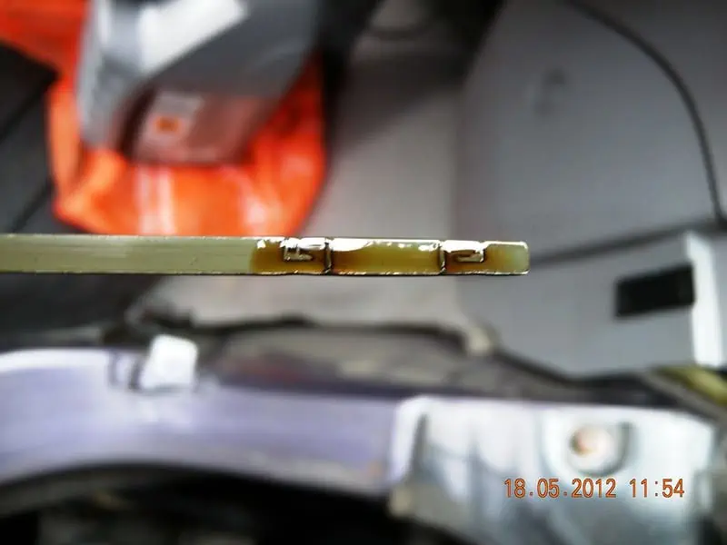 2. Dipstick showing oil level