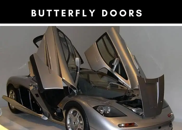 5. butterfly doors