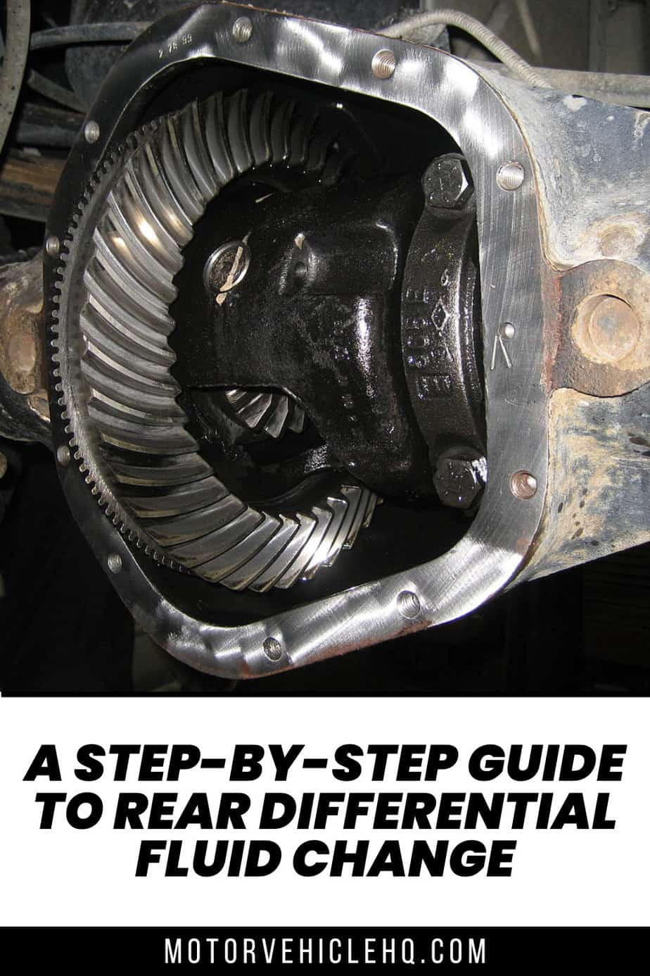 A Step-By-Step Guide to Rear Differential Fluid Change - Motor Vehicle HQ