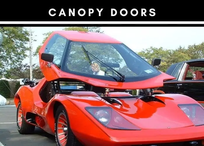 9. Canopy doors