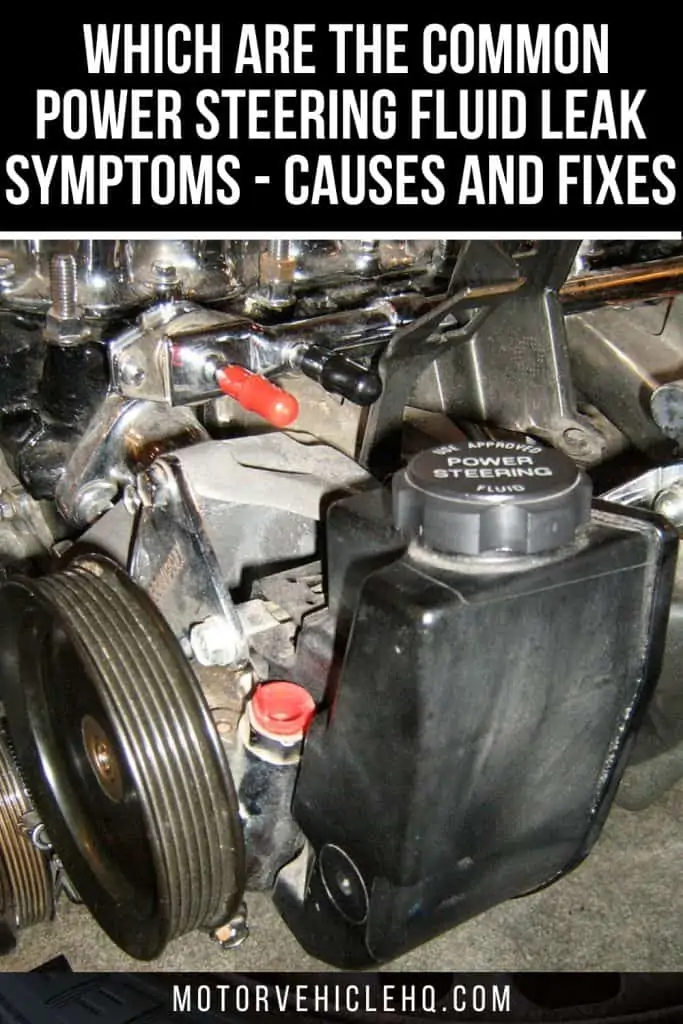 9. Power Steering Fluid Leak